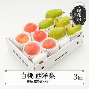 yӂ邳Ɣ[Łzs\  m Gi lߍ킹 v3kg 2026NY ߘa8NY R`Y    ʕ t[c Zbg A\[g l ns-fshyx3-bEւ̔zs