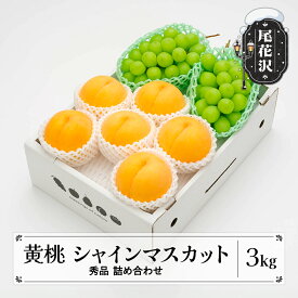 【ふるさと納税】先行予約 有袋黄桃 シャインマスカット 秀品 詰め合わせ 品種おまかせ 計3kg 2026年産 令和8年産 山形県産 もも ぶどう 果物 フルーツ 送料無料 ns-fsosx3-b※沖縄・離島への配送不可