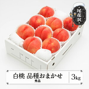 yӂ邳Ɣ[Łz  Gi i킨܂ 3kg (7`12) ϔ 2025NY ߘa7NY  t[c ʕ ns-mohtx3Eւ̔zs