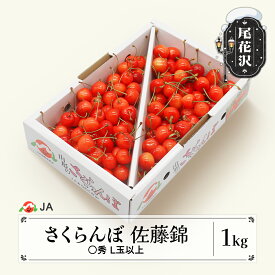 【ふるさと納税】さくらんぼ 佐藤錦 ○秀L玉以上 1kgバラ 2026年産 令和8年産 果物 果樹 フルーツ サクランボ 送料無料※沖縄・離島への配送不可
