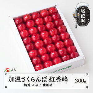 yӂ邳Ɣ[Łzs\  nEX͔|  gG 300g ϔ G2Lʈȏ o 2026NY ߘa8NY R`Y Mtg v[g   TN{ ja-bsk2x300