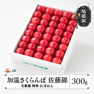 yӂ邳Ɣ[Łzs\  nEX͔|   300g ϔ G2Lʈȏ o 2026NY ߘa8NY R`Y Mtg v[g   TN{ ja-snk2x300