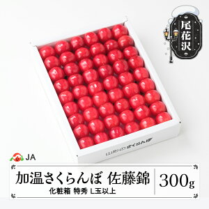 yӂ邳Ɣ[Łzs\  nEX͔|   300g ϔ GLʈȏ o 2026NY ߘa8NY R`Y Mtg v[g   TN{ ja-snkxx300