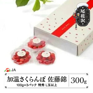 yӂ邳Ɣ[Łzs\  nEX͔|   100g×3P 300g _CpbN GLʈȏ o 2026NY ߘa8NY R`Y Mtg v[g   TN{ ja-snpcx30
