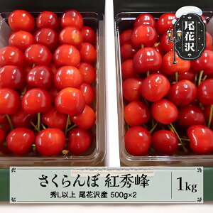 yӂ邳Ɣ[Łzs\  gG 1kg ϋl 2026NY ߘa8NY R`Y ԑY  kb-bskzx1000 2026N6{菇\聦Eւ̔zs