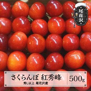 yӂ邳Ɣ[Łzs\  gG 500g ϋl 2026NY ߘa8NY R`Y ԑY  kb-bskzx500 2026N6{菇\聦Eւ̔zs