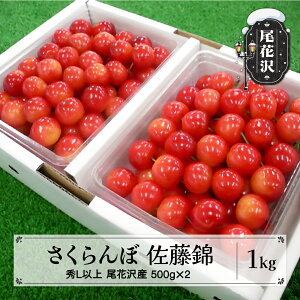 yӂ邳Ɣ[Łzs\   1kg GLTCYȏ ϋl 2026NY ߘa8NY R`Y ԑY  kb-snkzx1000 2026N610菇\聦Eւ̔zs