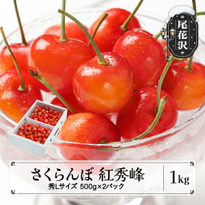 yӂ邳Ɣ[Łzs\  gG GLTCY 1kg ol ϔ (500gx2pbN) 2026NY ߘa8NY R`Y  TN{Eւ̔zs