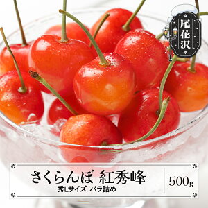 yӂ邳Ɣ[Łzs\  gG GLTCY ol ϔ 500g 2026NY ߘa8NY R`Y  TN{Eւ̔zs ns-bsslb500