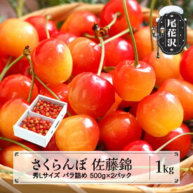 【ふるさと納税】先行予約 さくらんぼ 佐藤錦 秀Lサイズ プレゼント ギフト バラ詰め 1kg(500g×2パック) 2027年産 令和9年産 山形県産 送料無料 サクランボ ※沖縄・離島への配送不可 ns-snslb1
