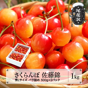 yӂ邳Ɣ[Łzs\   GLTCY v[g Mtg ol 1kg(500g×2pbN) 2026NY ߘa8NY R`Y  TN{ Eւ̔zs ns-snslb1