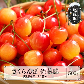 【ふるさと納税】先行予約 さくらんぼ 佐藤錦 秀Lサイズ プレゼント ギフト バラ詰め 500g 2027年産 令和9年産 山形県産 送料無料 サクランボ※沖縄・離島への配送不可 ns-snslb500