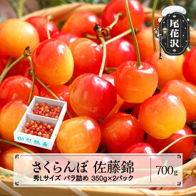 【ふるさと納税】先行予約 さくらんぼ 佐藤錦 秀Lサイズ プレゼント ギフト バラ詰め 700g(350g×2パック) 2027年産 令和9年産 山形県産 送料無料 サクランボ※沖縄・離島への配送不可