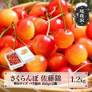yӂ邳Ɣ[Łzs\   GMTCY ol 1.2kg(600g×2) 2026NY ߘa8NY R`Y  TN{Eւ̔zs