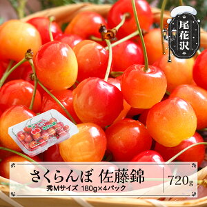 yӂ邳Ɣ[Łzs\   GMTCY 720g (180gx4pbN) t[hpbN 2026NY ߘa8NY R`Y  TN{Eւ̔zs