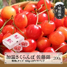 【ふるさと納税】先行予約 加温 さくらんぼ 佐藤錦 特秀Lサイズ 200g(100g×2) 5月上旬~下旬頃発送 プレゼント ギフト ダイヤパック 2026年産 令和8年産 山形県産 ハウス ハウス栽培 送料無料 サクランボ※沖縄・離島への配送不可
