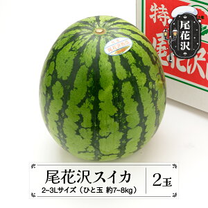 yӂ邳Ɣ[Łzs\ ԑXCJ 7{`8{ TCYEIׂ ߘa8NY 2026NY XCJ  Z R` ԑ ʕ t[c _YZ^[ Eւ