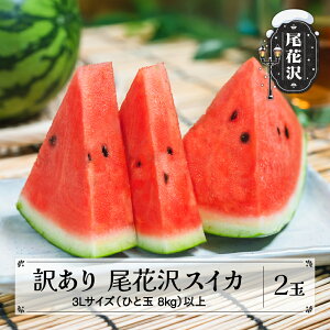 yӂ邳Ɣ[Łzs\ 󂠂ԑXCJ 7{`8{ TCYEIׂ ߘa8NY 2026NY XCJ  Z R` ԑ ʕ t[c _YZ^[ E