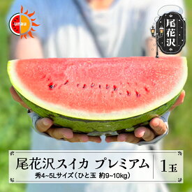 【ふるさと納税】先行予約 尾花沢スイカ プレミアム 7月下旬~8月中旬頃発送大玉 4~5Lサイズ 約9~10kg 1玉 令和7年産 2025年産 プレゼント ギフト スイカ すいか 西瓜 山形 尾花沢 果物 フルーツ 送料無料 農産センター UNAU ns-su45u1※沖縄・離島への配送不可