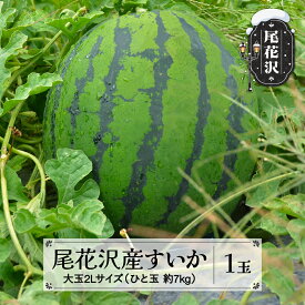 【ふるさと納税】先行予約 尾花沢産すいか2Lサイズ 約7kg×1玉 7月中旬~8月中旬頃発送 令和6年産 2024年産 尾花沢すいか すいか 西瓜 送料無料 農産加工※沖縄・離島への配送不可 nk-su2xx1