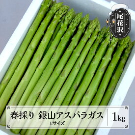 【ふるさと納税】 【先行予約】 春採り 銀山アスパラガス Lサイズ 1kg 令和9年産 2027年産 グリーンアスパラガス 春 野菜 青果 山形県 nk-vga1x1※離島への配送不可