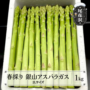 yӂ邳Ɣ[Łzt̂ RAXpKX 2LTCY(ɑ) 1kg ߘa8NY 2026NY AXp AXpKX O[AXpKX t   R` nk-vga2x1ւ̔zs