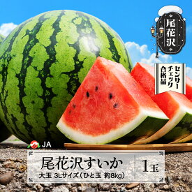 【ふるさと納税】先行予約 尾花沢すいか 大玉 3Lサイズ 約8kg×1玉 7月下旬~8月10日頃発送 2026年産 令和8年産 スイカ 西瓜 果物 フルーツ 送料無料 着日指定不可 JA※沖縄・離島への配送不可