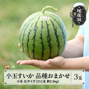 yӂ邳Ɣ[Łzs\ ԑYʂ i킨܂ ЂƂ肶 ܂ smK[ 3LTCY 2.5kg×3 7{~7{ 2026NY ߘa8NY XCJ Z ʕ t[c  