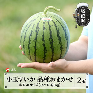 yӂ邳Ɣ[Łzs\ ԑY   i킨܂ ЂƂ肶  smK[ 4LTCY 3kg×2 7{~7{ 2026NY ߘa8NY XCJ Z ʕ t[c 