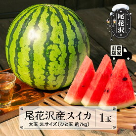 【ふるさと納税】尾花沢産スイカ2Lサイズ 約7kg×1玉 7月下旬～8月中旬頃発送 令和6年産 2024年産 尾花沢スイカ すいか 西瓜 送料無料 観光物産※沖縄・離島への配送不可 kb-su2xx1