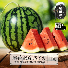 【ふるさと納税】尾花沢産スイカ 大玉 3Lサイズ 約8kg×1玉 7月下旬~8月中旬頃発送 令和8年産 2026年産 尾花沢スイカ すいか 西瓜 送料無料 観光物産 kb-su3xx1※沖縄・離島への配送不可