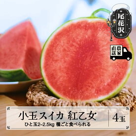 【ふるさと納税】先行予約 尾花沢産 小玉スイカ 紅乙女 約2~2.5kg×4玉 7月下旬~8月上旬頃発送 令和8年産 2026年産 山形 小玉 スイカ すいか 西瓜 小玉すいか 果物 くだもの フルーツ 数量限定 べにおとめ 送料無料 観光物産 kb-subox4※沖縄・離島への配送不可