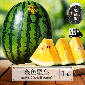 【ふるさと納税】＼マツコの知らない世界で話題／ 先行予約 尾花沢産スイカ 金色羅皇 3Lサイズ 約8kg×1玉 令和9年産 kb-sukr31