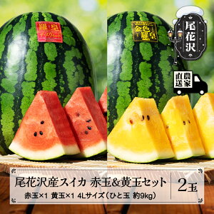 yӂ邳Ɣ[Łzs\ ԑYXCJ ԋ× e1ʃZbg Fc 񂶂炨 cUEXC[g 4LTCY 9kg×v2 7{`8{ ߘa8NY 2026NY ԑY XC