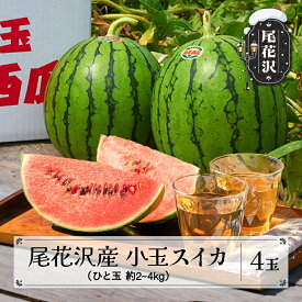 【ふるさと納税】数量限定 先行予約 尾花沢産小玉スイカ 約2~4kg×4玉 7月中旬~8月上旬頃発送 令和8年産 2026年産 尾花沢スイカ スイカ すいか 西瓜 小玉 山形 山形県 尾花沢市 高レビュー 農家直送 産地直送 送料無料 観光物産※沖縄・離島への配送不可