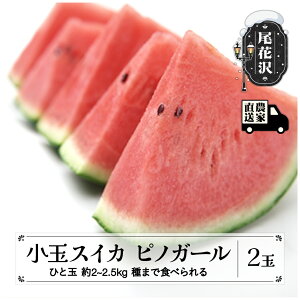 yӂ邳Ɣ[Łz^l܂ŐHׂ鏬ʃXCJ smK[ (2~2.5kg)×2 7{~8{ ԑYXCJ ߘa8NY 2026NY όY kb-supgx2  Z  όY R` 