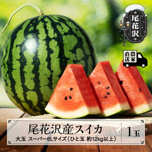 yӂ邳Ɣ[Łzs\ ԑYXCJ  X[p[6LTCY 12kgȏ×1 7{~8{ ߘa8NY 2026NY ԑXCJ  Z  όYEւ̔z