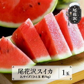 【ふるさと納税】先行予約 尾花沢スイカ 秀品 2Lサイズ 約7kg×1玉 7月中旬～8月中旬頃発送 2026年産 令和8年産 スイカ すいか 西瓜 尾花沢すいか 佐竹物産 sb-su2xx1※沖縄・離島への配送不可