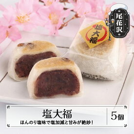 【ふるさと納税】塩大福 5個入り 冷凍 大福 スイーツ おやつ お菓子 菓子 山形 山形県 尾花沢市 明友 送料無料 沖縄・離島への配送不可 kb-swsdx5