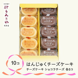 【ふるさと納税】 お菓子 スイーツ チーズケーキ チョコレート ケーキ 洋菓子 はんじゅくチーズケーキ ショコラチーズ 10個入 送料無料