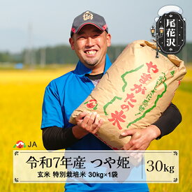 【ふるさと納税】令和7年産 新米 玄米 特別栽培米 つや姫 30kg 選べる配送時期 11月上旬~4月下旬発送 2025年産 米 お米 国産 山形県 尾花沢市 送料無料 ja-tsgta30※着日指定不可※沖縄・離島への配送不可