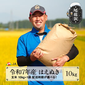 【ふるさと納税】令和7年産 新米 玄米 はえぬき 10kg 選べる配送時期 12月上旬~4月下旬発送 2025年産 米 お米 国産 山形県 尾花沢市 送料無料 ja-hagxa10※着日指定不可※沖縄・離島への配送不可
