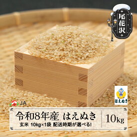 【ふるさと納税】新米 令和8年産 玄米 はえぬき 10kg 配送時期選べる 12月上旬~3月下旬発送 ja-hagxb10
