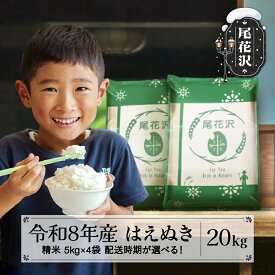 【ふるさと納税】新米 令和8年産 精米 はえぬき 20kg 5kg×4袋 配送時期選べる 11月上旬~3月下旬発送 ja-hasxb20