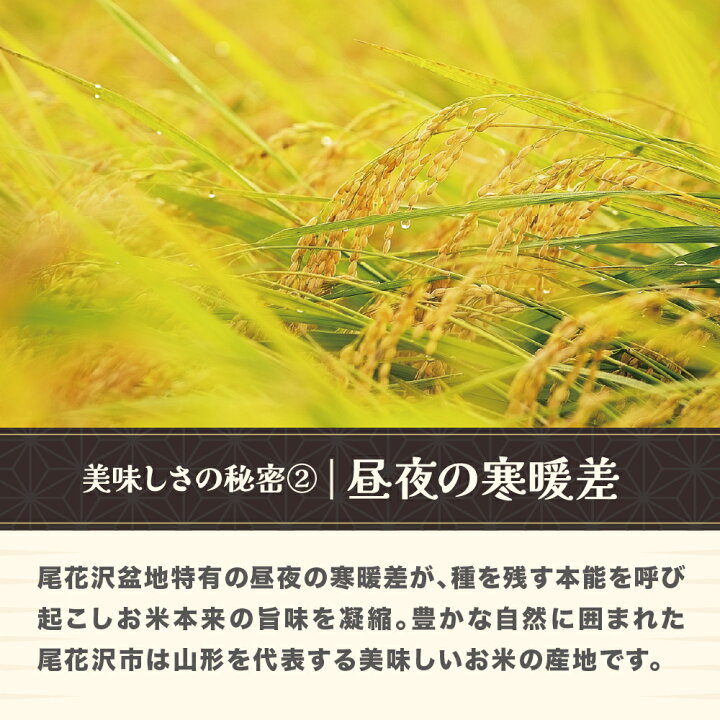 楽天市場】【ふるさと納税】令和7年産 玄米 雪若丸 30kg 選べる配送 