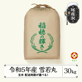 【ふるさと納税】 米 玄米30kg 雪若丸 令和5年産 尾花沢市産 送料無料※着日指定送不可※沖縄・離島への配送不可