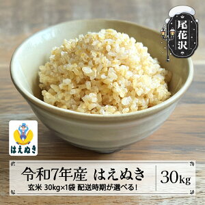 �y�ӂ邳�Ɣ[�Łz�V�� �� ���� 30kg �͂��ʂ� �ߘa7�N�Y 2025�N�Y �I�ׂ�z������ ���ԑ�s�Y �������� kg-hagxa30�������w�著�s�� ������E�����ւ̔z���s��