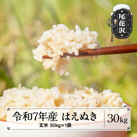 【ふるさと納税】令和7年産 新米 玄米 はえぬき 30kg 11月上旬~順次発送 2025年産 米 お米 国産 山形県 尾花沢市 kd-hagxa30