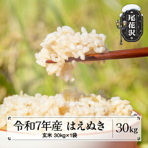 ys\zߘa7NY V  ͂ʂ 30kg 11{~ 2025NY   Y R` ԑs kd-hagxa30