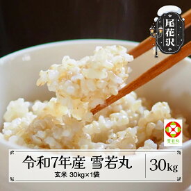 【ふるさと納税】令和7年産 新米 玄米 雪若丸 30kg 11月上旬~順次発送 2025年産 米 お米 国産 山形県 尾花沢市 kd-ywgxa30